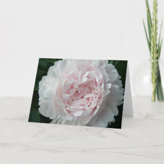 Carte Joli Peony Rose