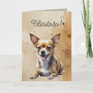 Carte Joli petit Chihuahua, Félicitations ! Anniversaire