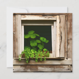 Carte Joli Plantes dans fenêtre rustique avec bois Patin