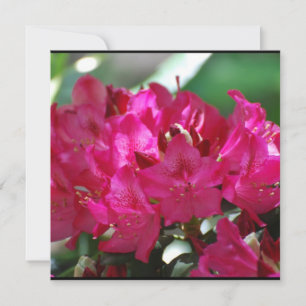 Carte Joli Rhododendron rose