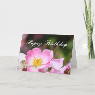 Carte joli rose fleur rose sauvage heureux anniversaire