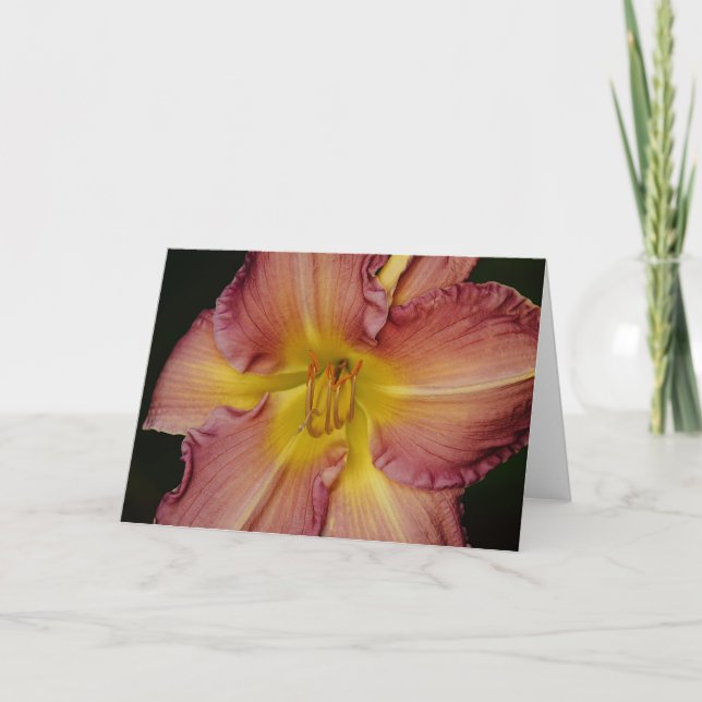Carte jolie carte rouge Lily orange (Devant)