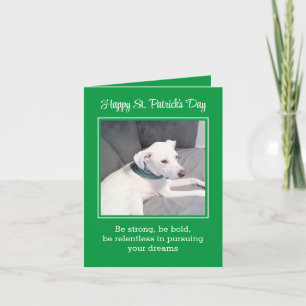 Carte Jolie et drôle Chien Chien Chien Chien Chien Coque