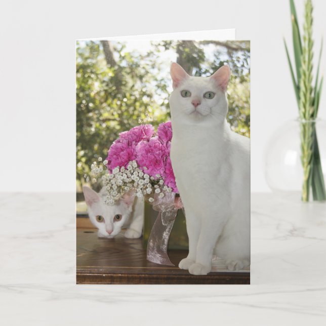 Carte Jolie Fête des Mères de Chat et Kitten (Devant)