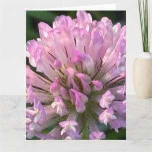 Carte Jolie fleur de trèfle 