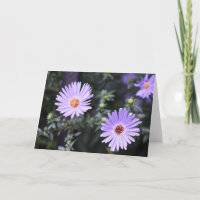 Jolie Fleurs violettes Photographie originale du j
