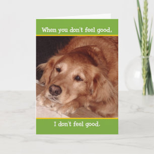 Carte Jolie Golden Retriever Get Well Card