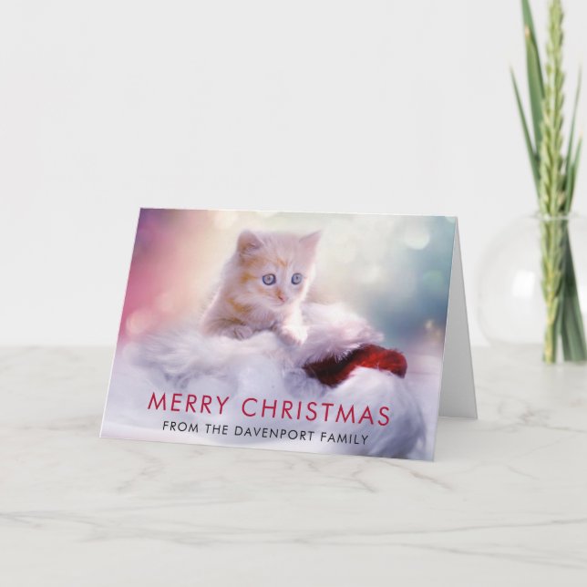 Carte Jolie Noël Kitten (Devant)