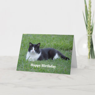 Carte Jolie photo de chat en noir et blanc Tuxedo Annive