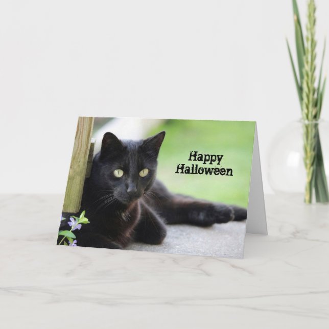 Carte Jolie photo de chat noir Halloween (Devant)