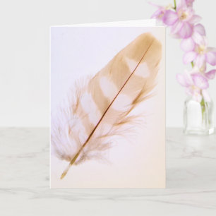Carte Jolie Plumes Nature Se Bien