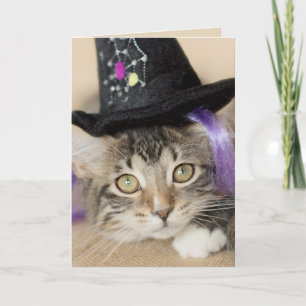 Carte Jolie sorcière de Kitten Halloween