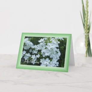 Carte Jolies fleurs blanches