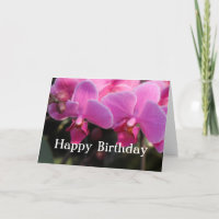 Jolies fleurs d'orchidée rose. Vœux d'anniversaire