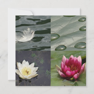 Carte Jolies Nappes D'Eau