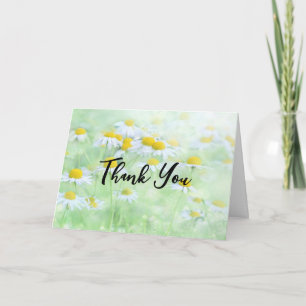 Carte Jolies pâquerettes dans une photographie de champ