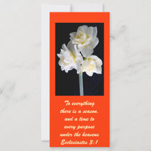 Carte Jonquil Flower - Ecclesiastes 3:1
