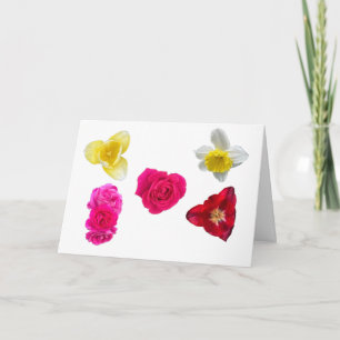 Carte Jonquilles, Tulipes et Roses