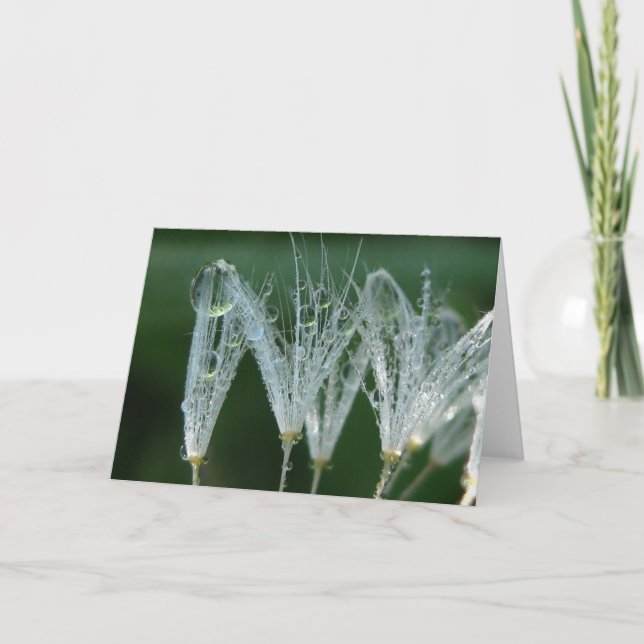Carte Jouer Dandelion avec Dew Poetry of Nature (Devant)