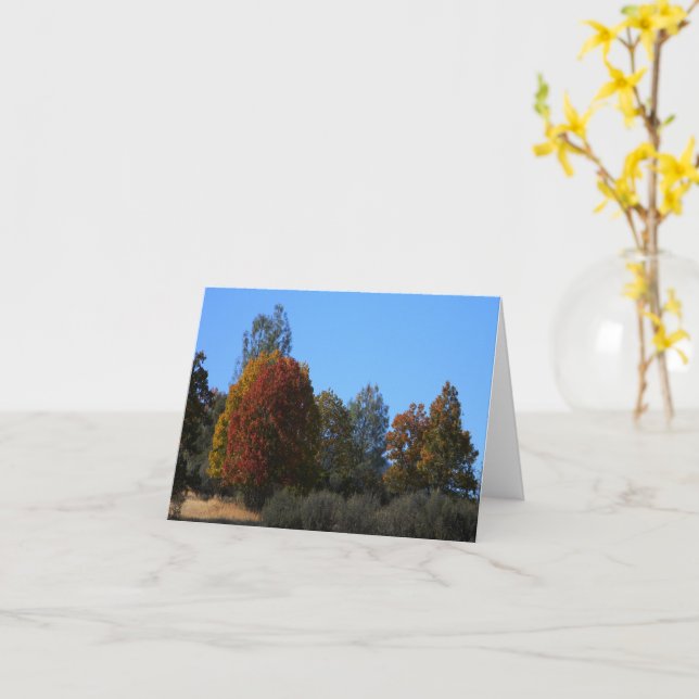 Carte Jour d'automne dans le pays..... (Fleur jaune)