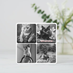 Carte jour de chat noir blanc rouge