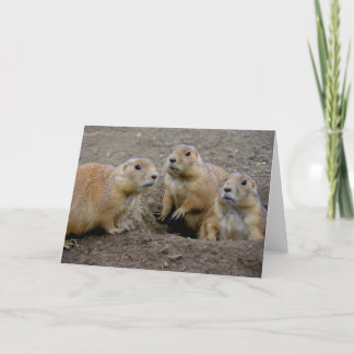 Carte Jour de Groundhog