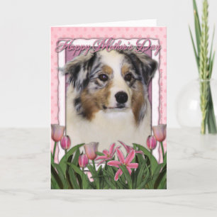 Carte Jour de mères - tulipes roses - berger australien