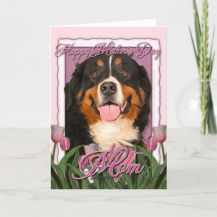 Carte Jour de mères - tulipes roses - chien de montagne