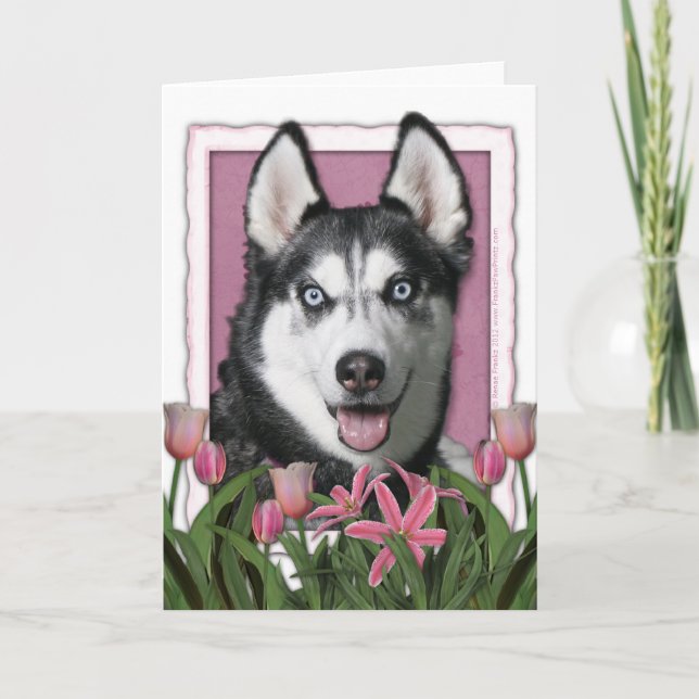 Carte Jour de mères - tulipes roses - chien de traîneau (Devant)