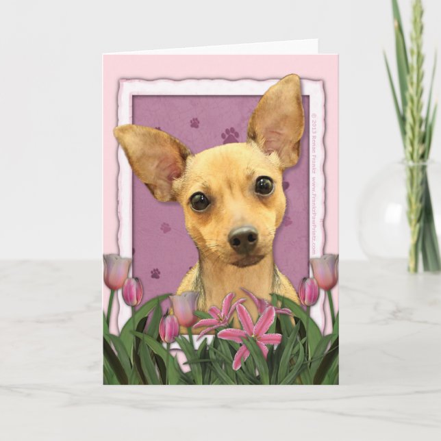 Carte Jour de mères - tulipes roses - chiwawa (Devant)