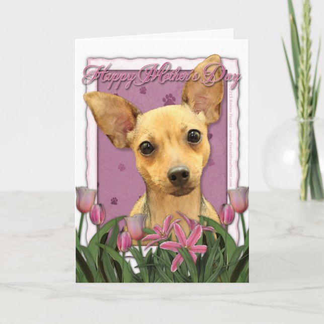 Carte Jour de mères - tulipes roses - chiwawa (Devant)