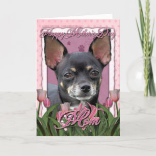 Carte Jour de mères - tulipes roses - chiwawa - Isabella