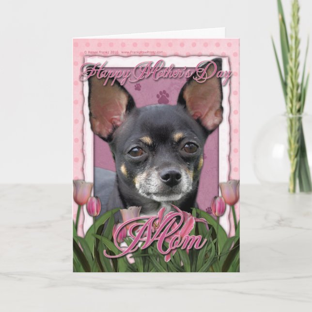 Carte Jour de mères - tulipes roses - chiwawa - Isabella (Devant)