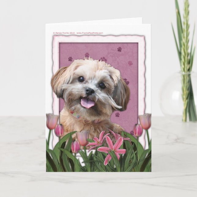 Carte Jour de mères - tulipes roses - ShihPoo - Maggie (Devant)
