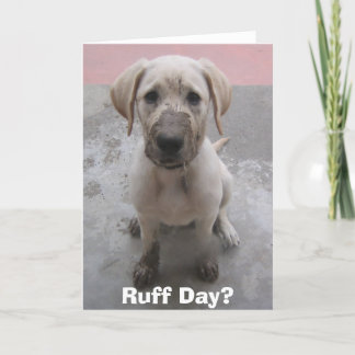 Carte Jour de Ruff ?
