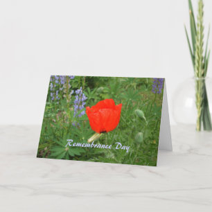 Carte Jour du Souvenir canadien - 11 novembre Coquelicot