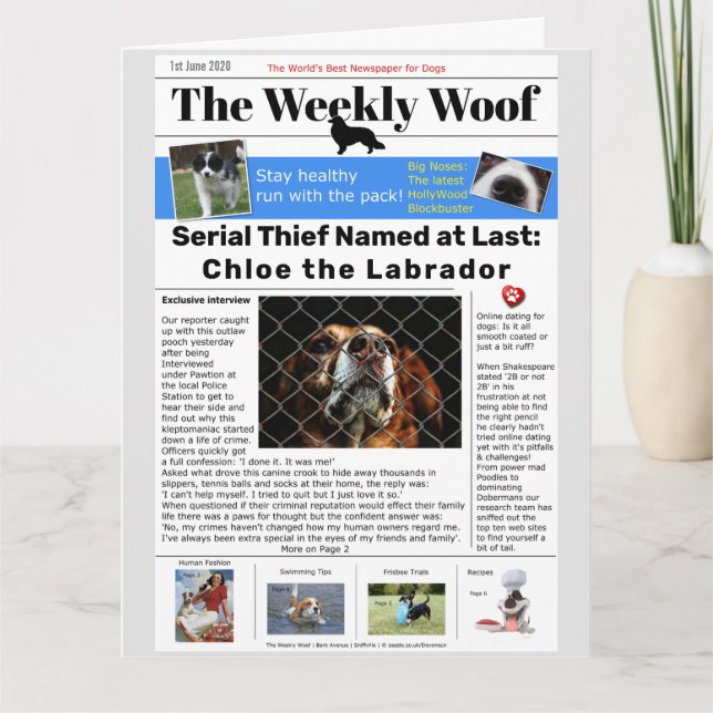 Carte Journal Canin Drôle (Devant)