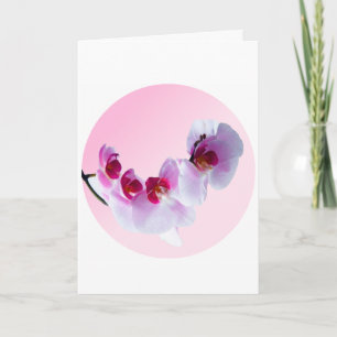 Carte Journée internationale de la femme.