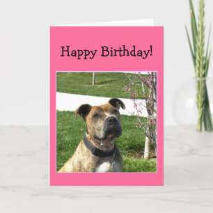 Carte Joyeuse Birthday