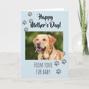 Carte Joyeuse fête des mères Photo Chien Chat Animal de