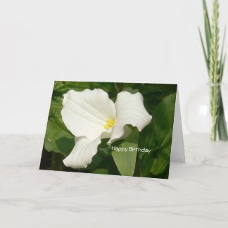Carte Joyeuse Fleur blanche d'anniversaire