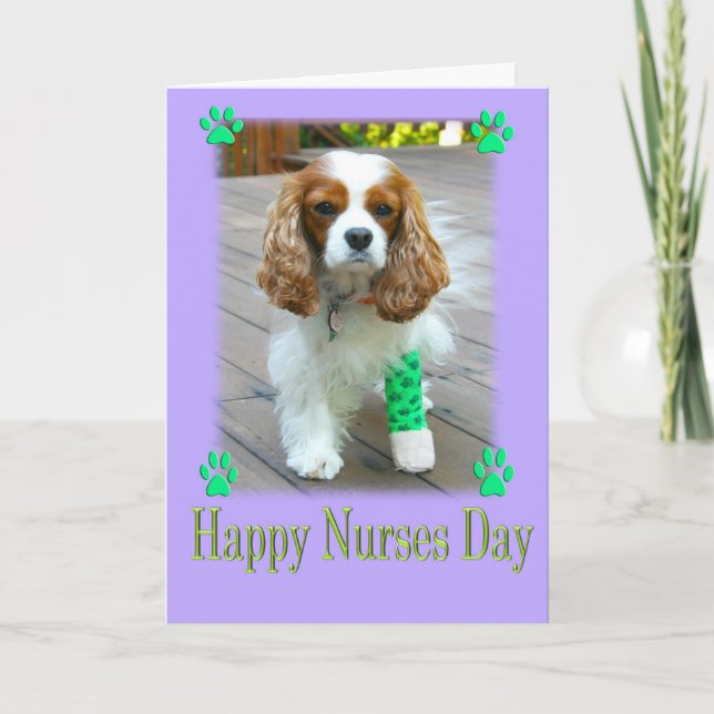Carte Joyeuse journée des infirmières avec Cavalier King (Devant)