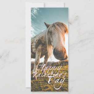 Carte Joyeuse Saint-Valentin avec cheval regardant