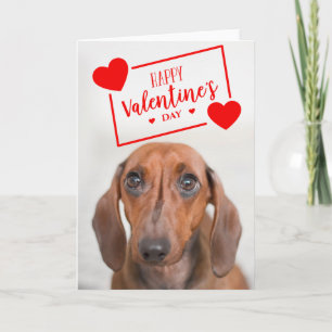 Carte Joyeuse Saint-Valentin Douce Jeune Chienne Dachs