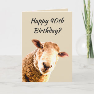 Carte Joyeux 40e anniversaire Funny Sheep Humour animal