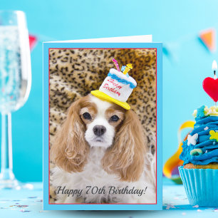 Carte Joyeux 70e anniversaire Cavalier King Charles Anni