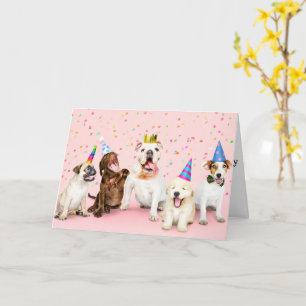 Carte Joyeux Animaux de fête d'anniversaire