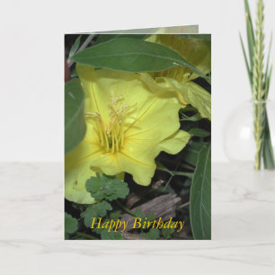 Carte Joyeux anniversaire