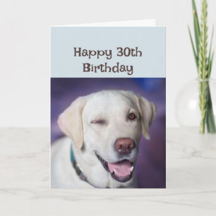 Carte Joyeux anniversaire 30e de nouveau Winking Dog Hum