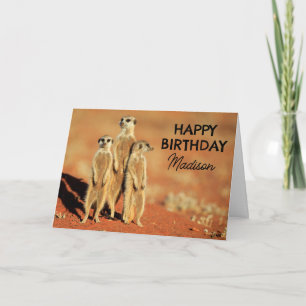 Carte Joyeux anniversaire   3 Meerkats